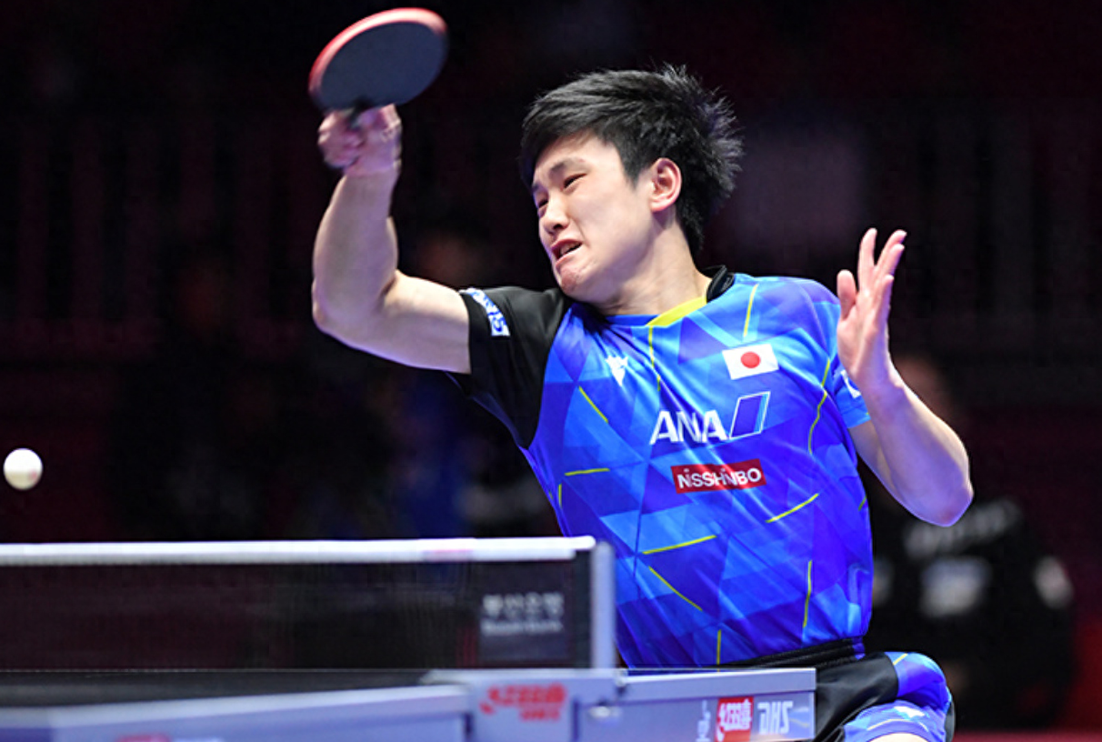 日本队翻盘奥地利队,张本智和关键制胜 日本队翻盘奥地利队,张本智和关键制胜