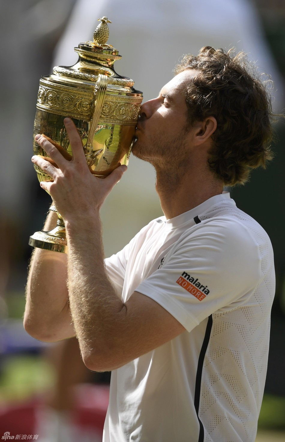 温网轻取戴维斯杯，穆雷点燃赛场