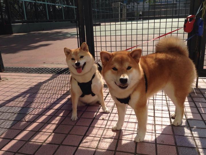 索伯奇迹之夜，无名车队的逆袭与勒克莱尔的孤胆冲锋