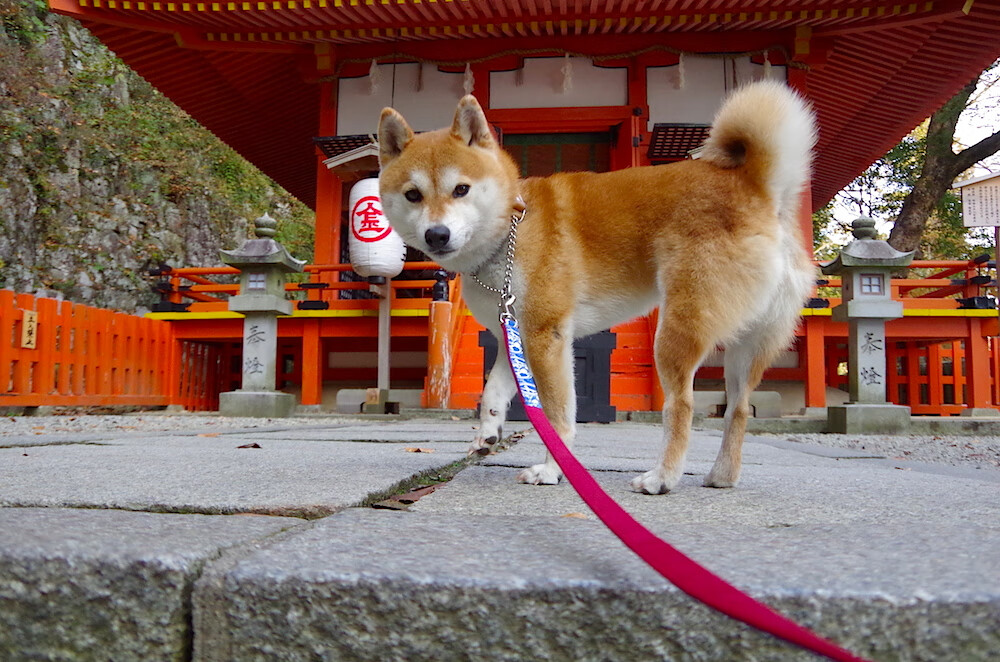 时空交错的奇迹，山西队翻盘勇士与塔图姆刷新的历史纪录