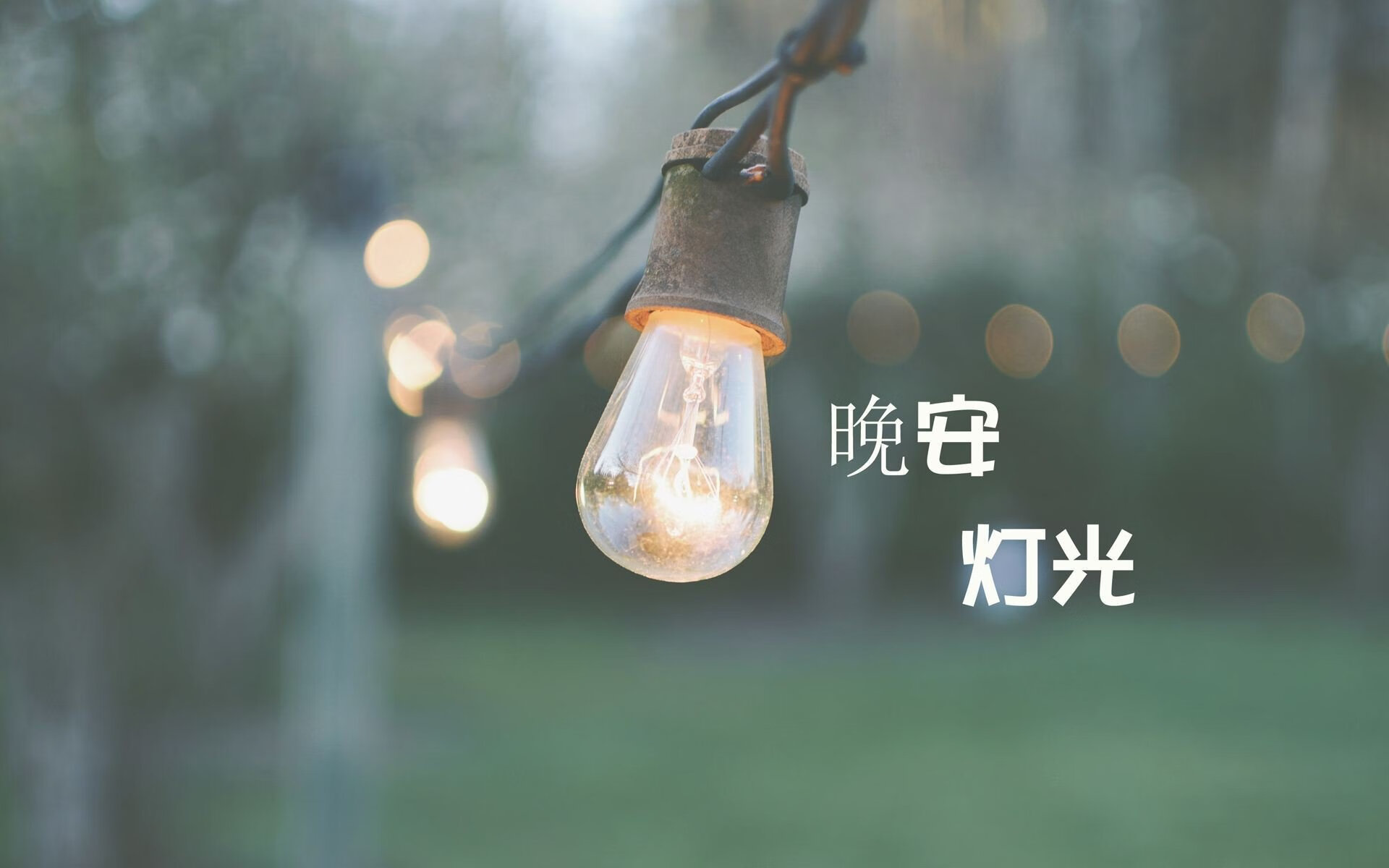 沙漠雄狮的咆哮,抢七夜,突尼斯如何用一场史诗级逆袭,撼动篮球世界版图