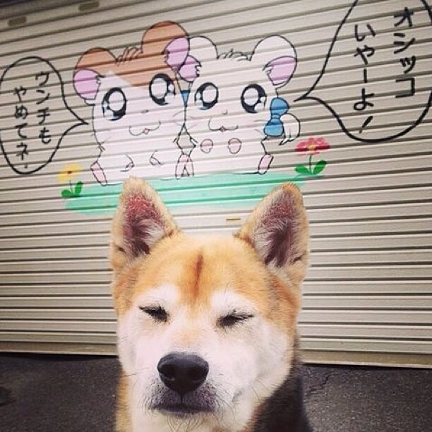 意甲焦点战之夜,法比尼奥进攻端肆虐,对手防线溃不成军