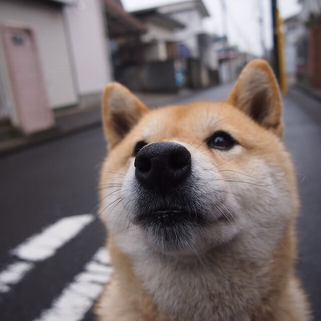 两场毫不相干的比赛，同一个热血沸腾的世界