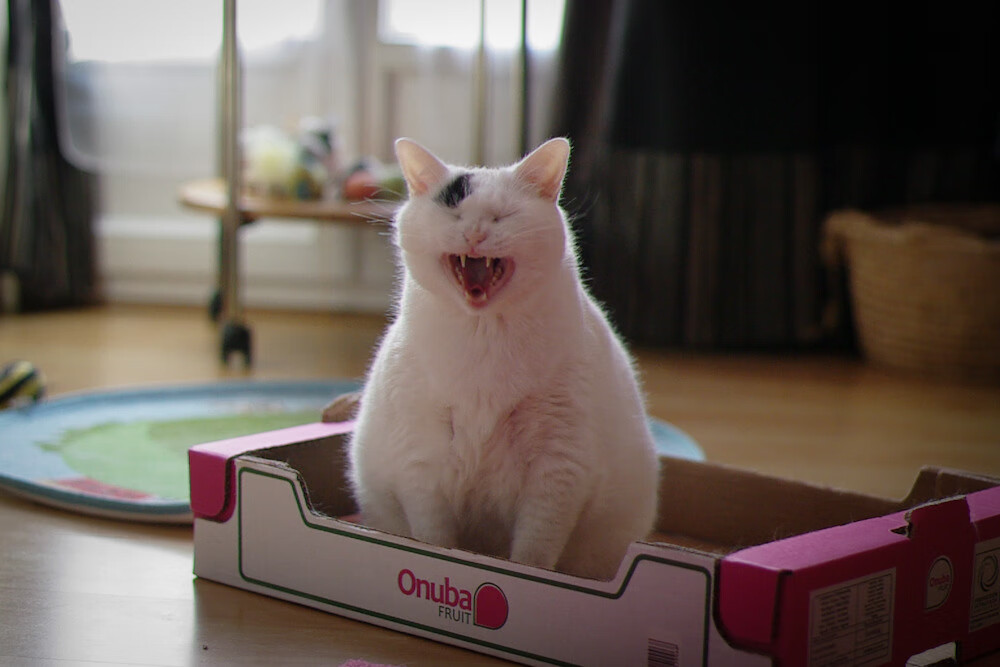 冰与火之歌，当小贾伦评分拉满遇上新疆的生死战