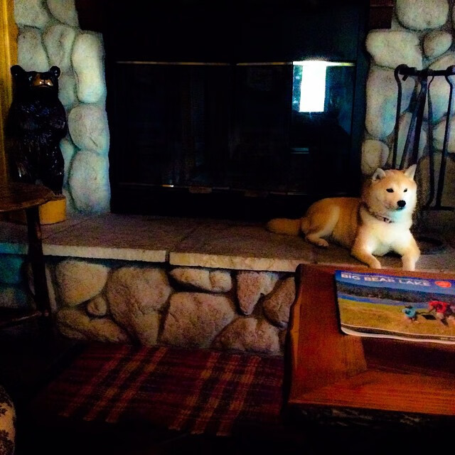 擎天柱式统治！字母哥创历史第一人神迹，唯他能让全面二字黯然失色