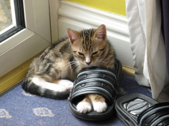 爱游戏下载-超越对决，库里神迹与魔术团队的胜利启示