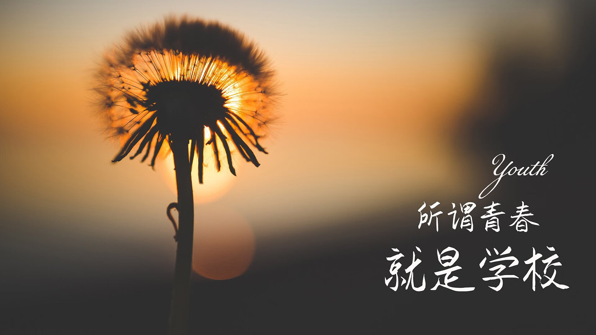 2026世界杯淘汰赛,莱万多夫斯基的孤勇,写就匈牙利与加拿大之战的历史唯一