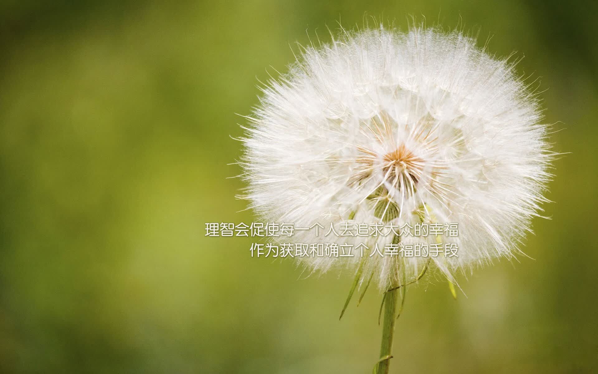 逆转之夜,防守反击的极致演绎,奥地利扼住命运的咽喉