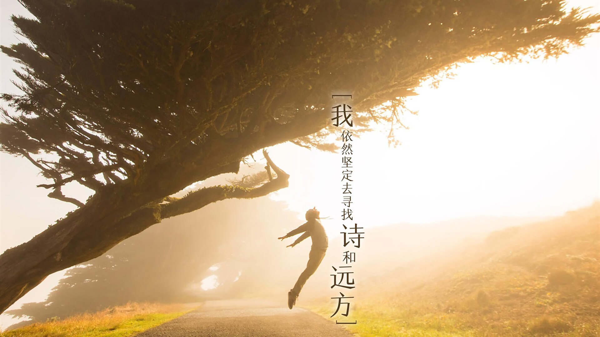 摩洛哥之魂,齐耶赫的魔幻时刻,2026半决赛撕裂克罗地亚铁阵