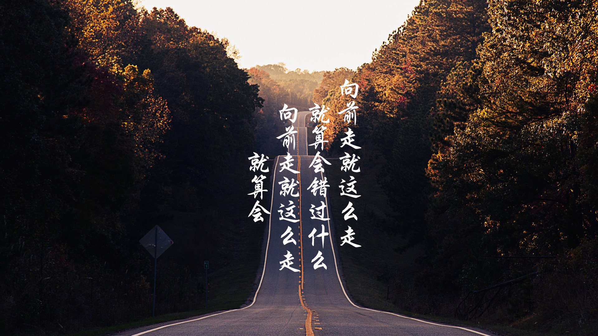 孤星照耀新大陆,卢卡库的救赎与门将的神话,越南vs智利的美加墨奇迹之夜